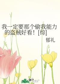 我一定要那个偷我能力的盗贼好看！[综]