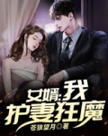 女婿：我，护妻狂魔