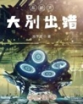 系统大大别出错
