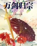 万剑归宗！