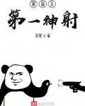 亮剑之第一神射