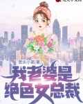 我老婆是绝色女总裁
