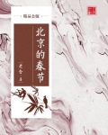 北京的春节（精品公版）