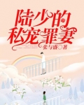 陆少的私宠罪妻