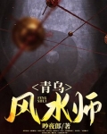青乌风水师