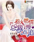 惹火燃情：总裁，慢点追