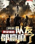 网游:神级辅助,队友都赢麻了