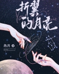 折翼的月亮
