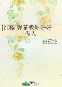 红楼弹幕教你好好做人