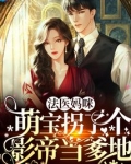 法医妈咪，萌宝拐了个影帝当爹地