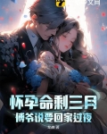 怀孕命剩三月,傅爷说要回家过夜