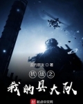 抗战之我的县大队