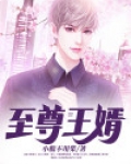 至尊王婿