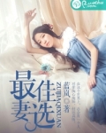 最佳妻选