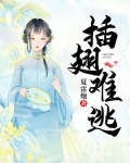 插翅难逃