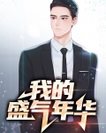 我的盛气年华