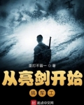 从亮剑开始搞军工
