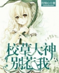 校草大神别惹我