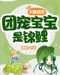 天降萌宝:团宠宝宝是锦鲤