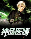神品医婿