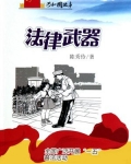法律武器：全国广泛开展“一五”普法活动