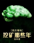 我在缅甸挖矿那些年