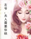 左爷,夫人需要你哄