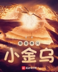 偷偷养只小金乌