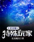 王者荣耀之特殊玩家