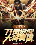 灵气复苏：开局觉醒大将黄猿