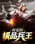 校花的极品兵王