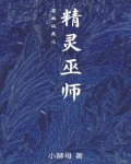 霍格沃茨之精灵巫师