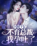 闪婚千亿不育总裁：我孕吐了