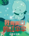 我有满山的红伞伞