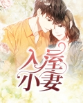入屋小妻