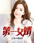 第一女婿