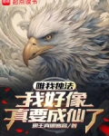 唯我独法：我好像真要成仙了