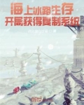 海上冰路生存:开局获得复制系统