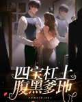 四宝杠上腹黑爹地