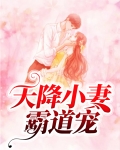 天降小妻霸道宠
