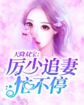 天降双宝：厉少追妻忙不停