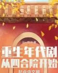 重生年代剧:从四合院开始