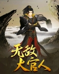 无敌大官人