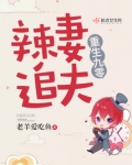 重生九零辣妻追夫