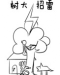 树大招雷