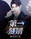 第一赘婿