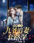 锦鲤三宝:九爷追妻套路深