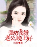 强势宠婚：老公，晚上好
