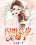闪婚总裁宠爆了