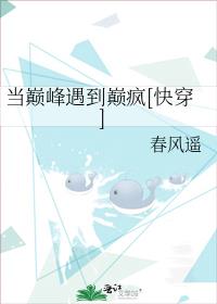 当巅峰遇到巅疯[快穿]无弹窗